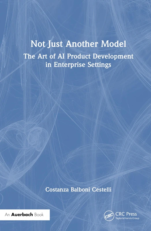 Not Just Another Model: The Art of AI Product Development in Enterprise Settings