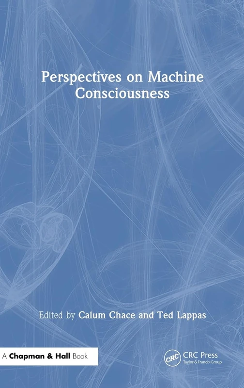 Perspectives on Machine Consciousness