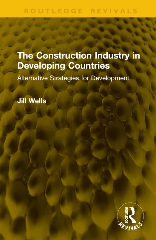 The Construction Industry in Developing Countries: Alternative Strategies for Development (Routledge Revivals)
