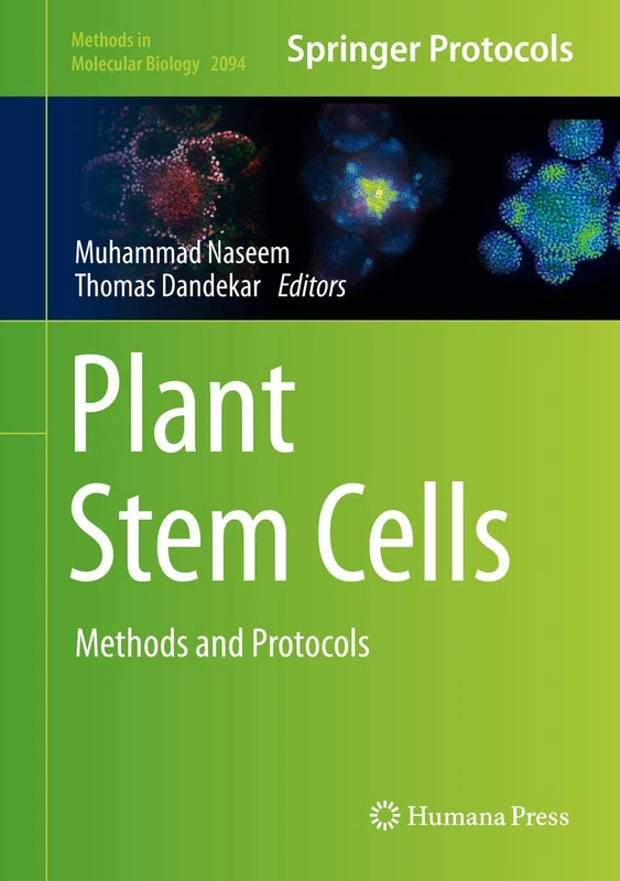 Plant Stem Cells: Methods and Protocols: 2094 (Methods in Molecular Biology, 2094)