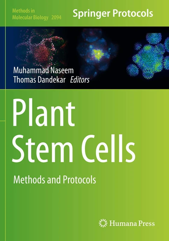 Plant Stem Cells: Methods and Protocols: 2094 (Methods in Molecular Biology, 2094)