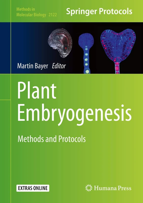 Plant Embryogenesis: Methods and Protocols: 2122 (Methods in Molecular Biology, 2122)