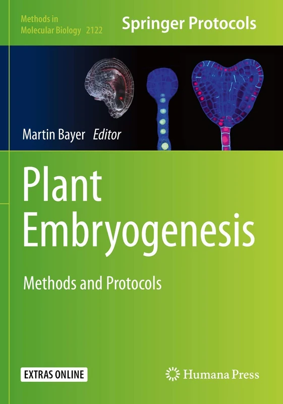Plant Embryogenesis: Methods and Protocols: 2122 (Methods in Molecular Biology, 2122)