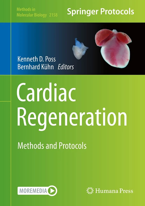 Cardiac Regeneration: Methods and Protocols: 2158 (Methods in Molecular Biology, 2158)