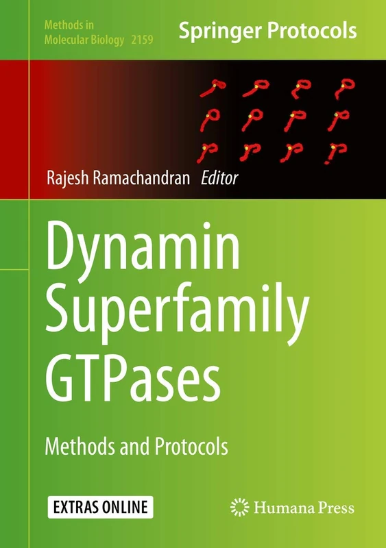 Dynamin Superfamily GTPases: Methods and Protocols: 2159 (Methods in Molecular Biology, 2159)
