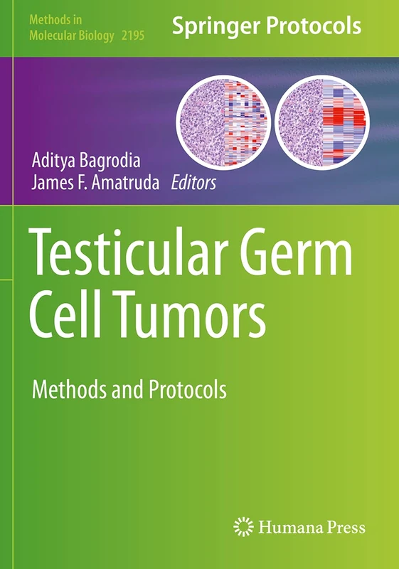 Testicular Germ Cell Tumors: Methods and Protocols: 2195 (Methods in Molecular Biology, 2195)