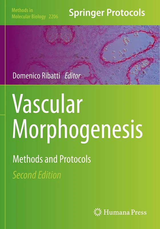 Vascular Morphogenesis: Methods and Protocols: 2206 (Methods in Molecular Biology, 2206)