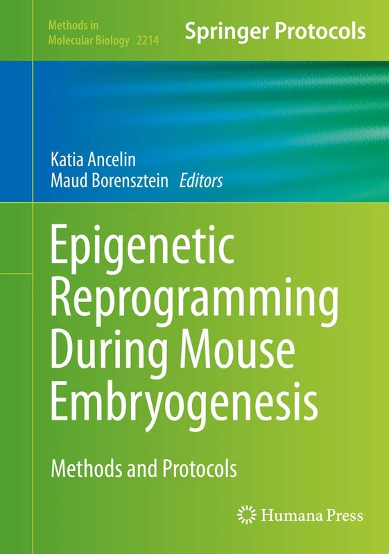 Humana Epigenetic Reprogramming During Mouse Embryogenesis