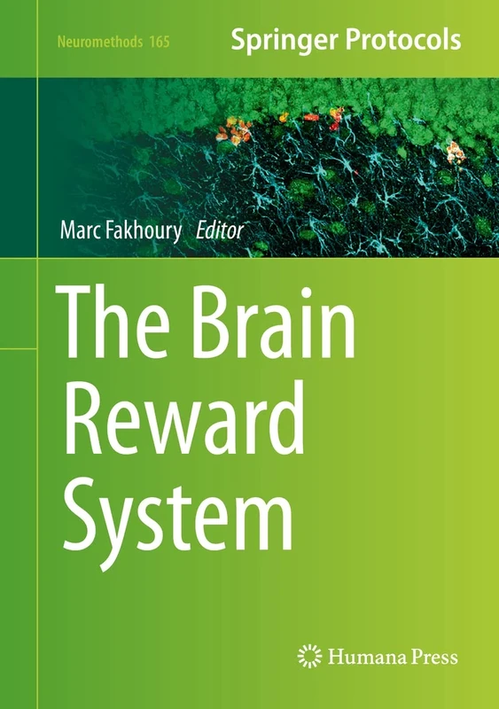 The Brain Reward System: 165 (Neuromethods, 165)