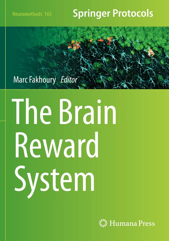 The Brain Reward System: 165 (Neuromethods, 165)