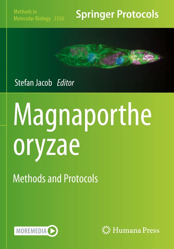 Magnaporthe oryzae: Methods and Protocols: 2356 (Methods in Molecular Biology, 2356)