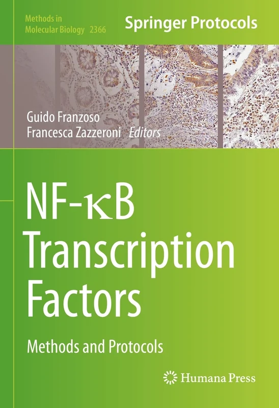 NF-κB Transcription Factors: Methods and Protocols: 2366 (Methods in Molecular Biology, 2366)