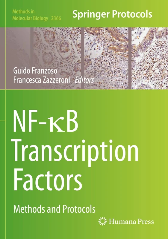 NF-κB Transcription Factors: Methods and Protocols: 2366 (Methods in Molecular Biology, 2366)