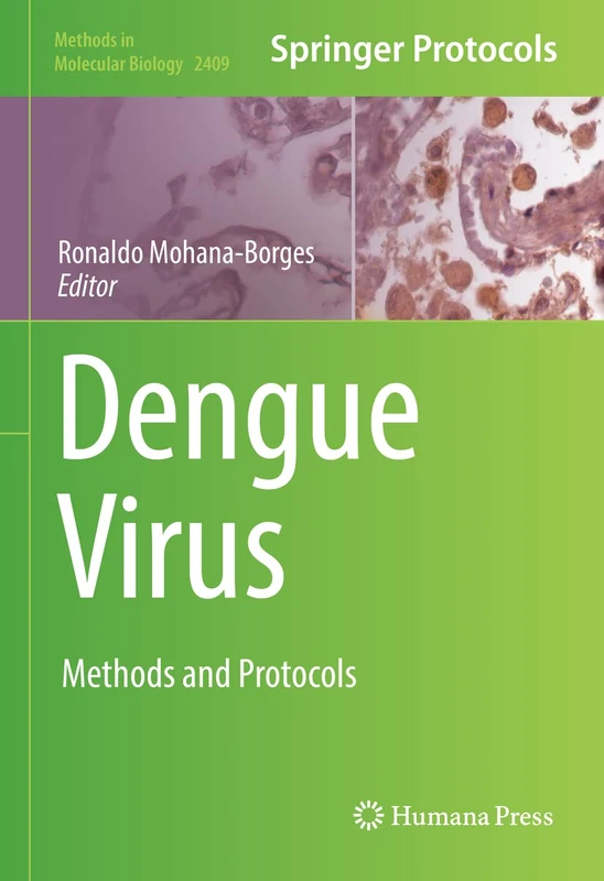 Dengue Virus: Methods and Protocols: 2409 (Methods in Molecular Biology, 2409)