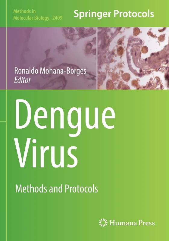 Dengue Virus: Methods and Protocols: 2409 (Methods in Molecular Biology, 2409)