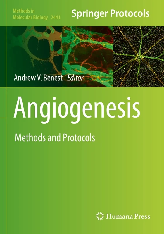Angiogenesis: Methods and Protocols: 2441 (Methods in Molecular Biology, 2441)
