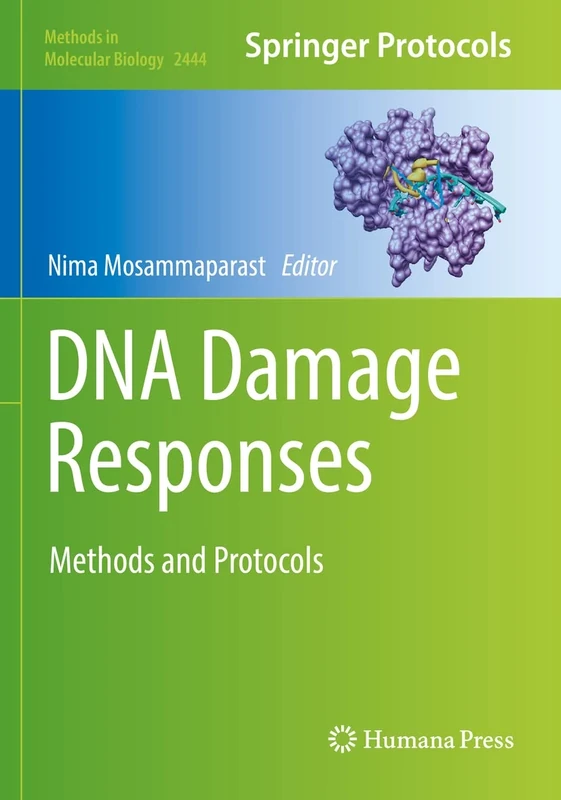 DNA Damage Responses: Methods and Protocols: 2444 (Methods in Molecular Biology, 2444)