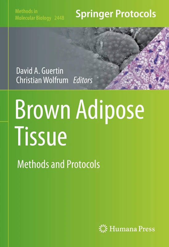Humana Brown Adipose Tissue: Methods and Protocols 2448