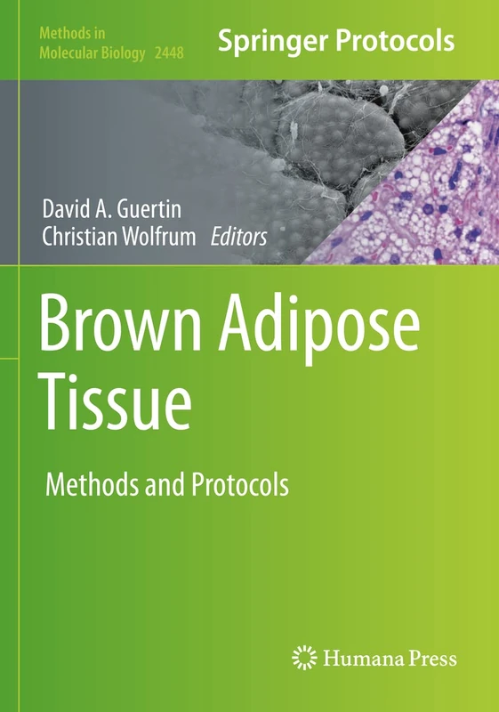 Brown Adipose Tissue: Methods and Protocols: 2448 (Methods in Molecular Biology, 2448)
