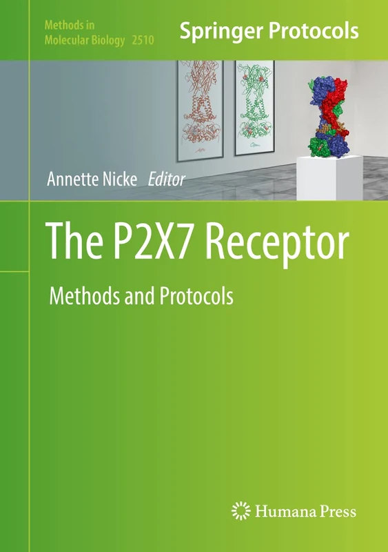 The P2X7 Receptor: Methods and Protocols: 2510 (Methods in Molecular Biology, 2510)