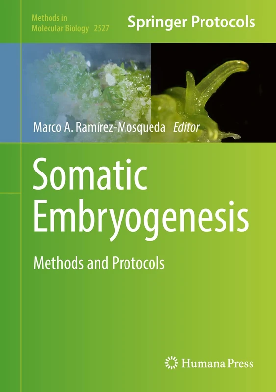 Somatic Embryogenesis: Methods and Protocols: 2527 (Methods in Molecular Biology, 2527)
