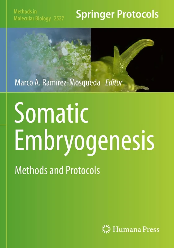 Somatic Embryogenesis: Methods and Protocols: 2527 (Methods in Molecular Biology, 2527)