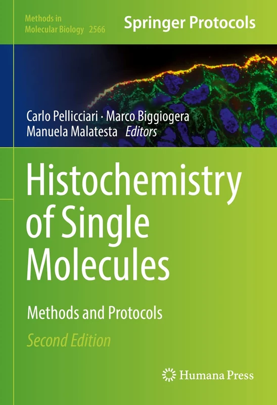 Histochemistry of Single Molecules: Methods and Protocols: 2566 (Methods in Molecular Biology, 2566)