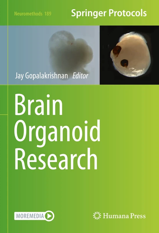 Humana Brain Organoid Research: 189 (Neuromethods, 189)
