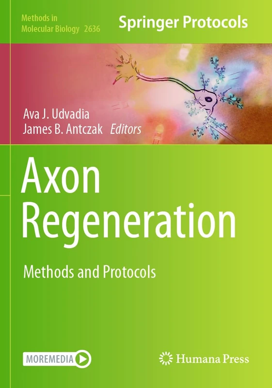 Axon Regeneration: Methods and Protocols: 2636 (Methods in Molecular Biology, 2636)