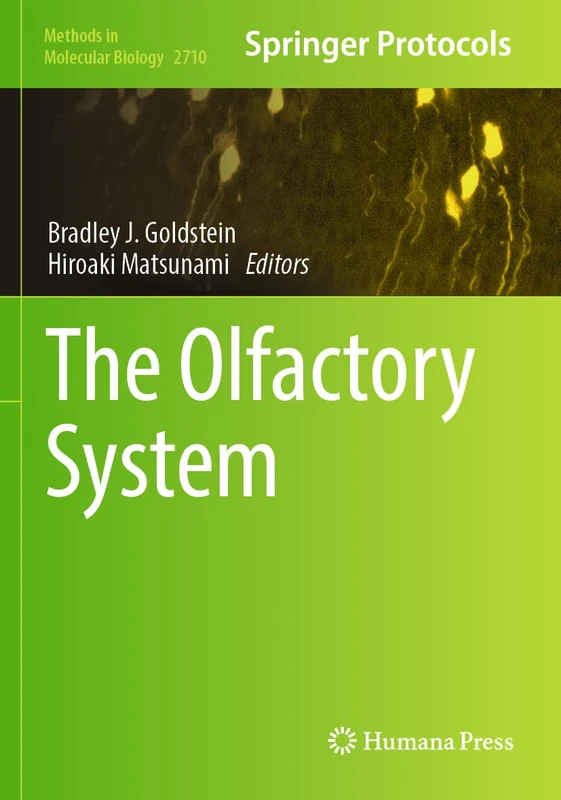 The Olfactory System: 2710 (Methods in Molecular Biology, 2710)