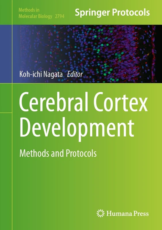 Cerebral Cortex Development: Methods and Protocols: 2794 (Methods in Molecular Biology, 2794)