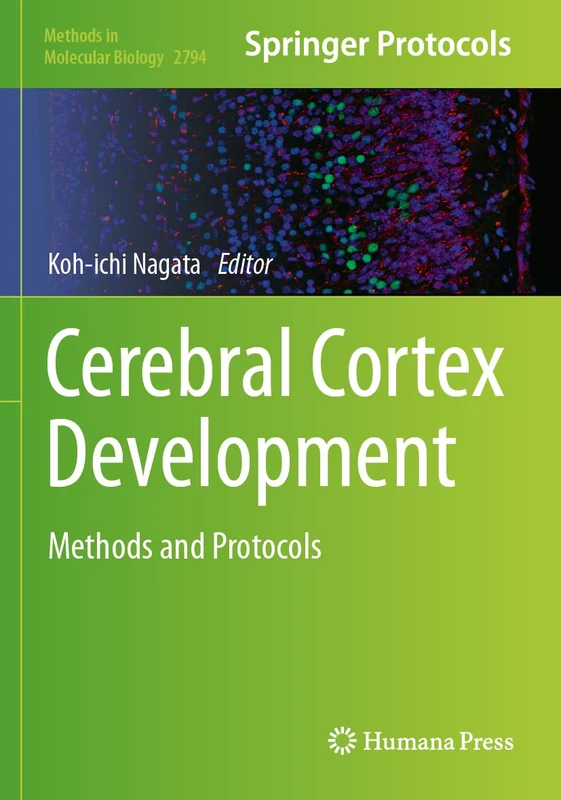 Cerebral Cortex Development: Methods and Protocols: 2794 (Methods in Molecular Biology, 2794)