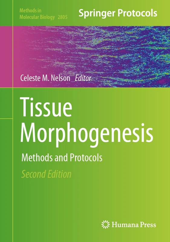 Tissue Morphogenesis: Methods and Protocols: 2805 (Methods in Molecular Biology, 2805)