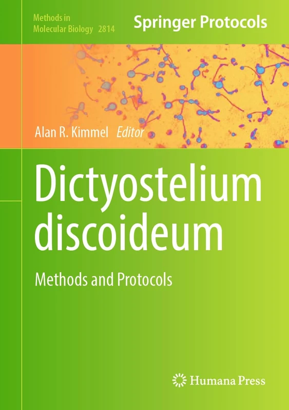 Humana Dictyostelium discoideum: Methods and Protocols 2814