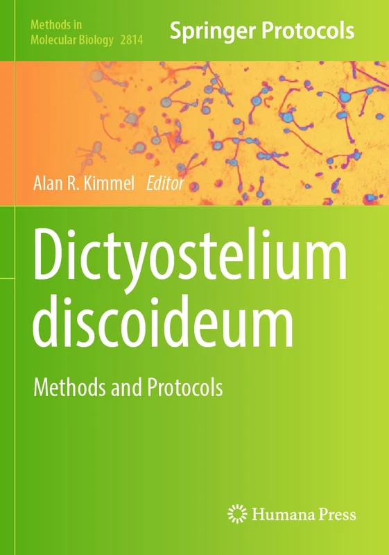 Dictyostelium discoideum: Methods and Protocols: 2814 (Methods in Molecular Biology, 2814)