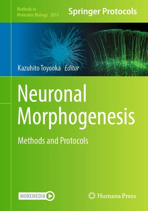 Neuronal Morphogenesis: Methods and Protocols: 2831 (Methods in Molecular Biology, 2831)