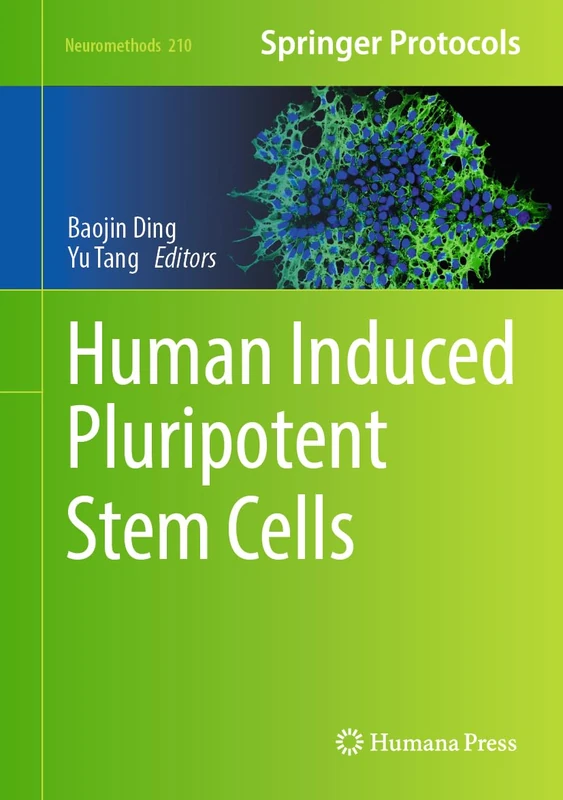 Human Induced Pluripotent Stem Cells: 210 (Neuromethods, 210)