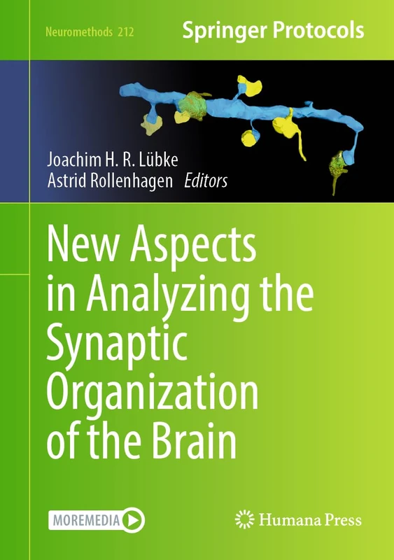 New Aspects in Analyzing the Synaptic Organization of the Brain: With Online Files / Update: 212 (Neuromethods, 212)