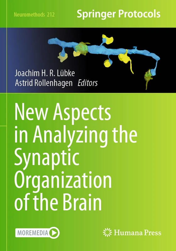 New Aspects in Analyzing the Synaptic Organization of the Brain (Neuromethods, 212)