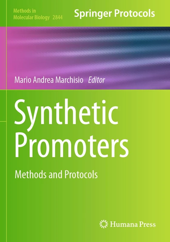 Synthetic Promoters: Methods and Protocols (Methods in Molecular Biology, 2844)