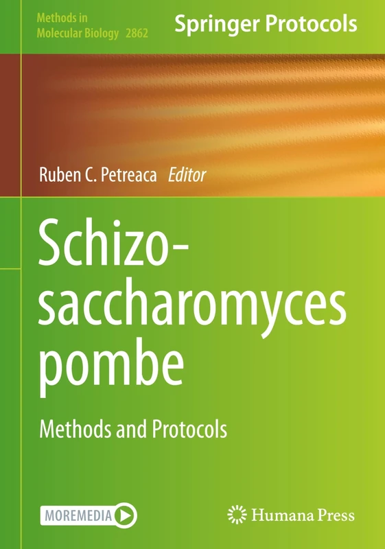 Schizosaccharomyces pombe: Methods and Protocols: 2862 (Methods in Molecular Biology, 2862)