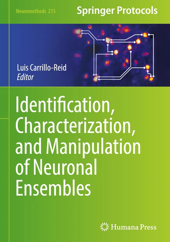 Identification, Characterization, and Manipulation of Neuronal Ensembles: 215 (Neuromethods, 215)