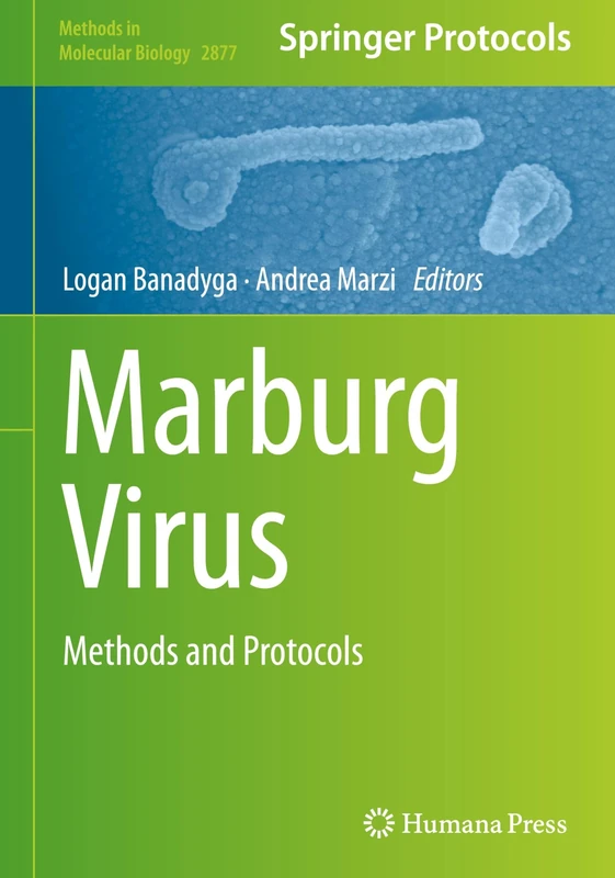 Marburg Virus: Methods and Protocols: 2877 (Methods in Molecular Biology, 2877)