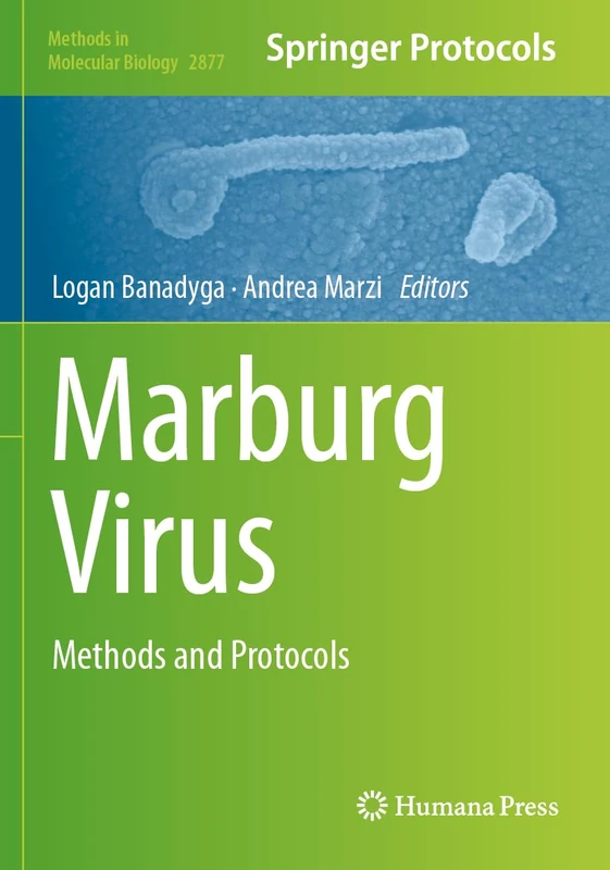 Marburg Virus: Methods and Protocols (Methods in Molecular Biology, 2877)