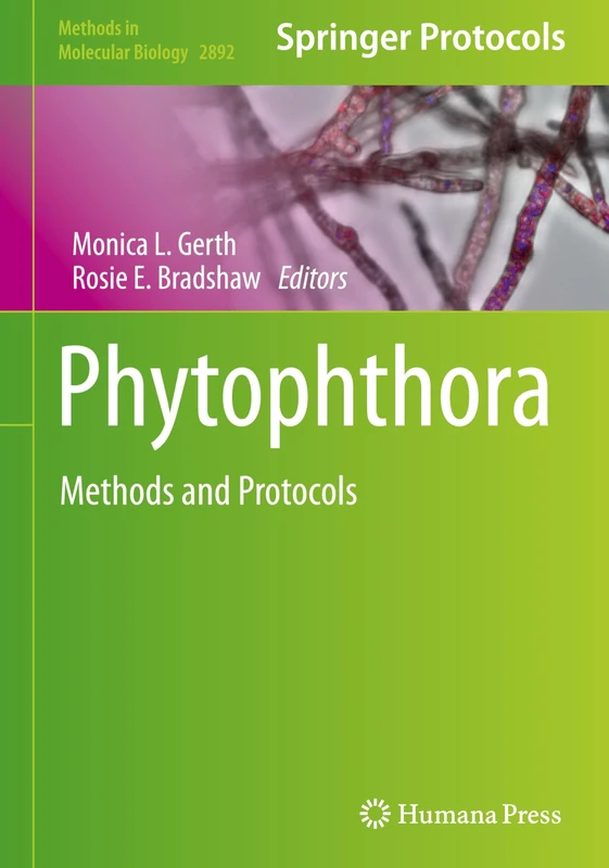 Phytophthora: Methods and Protocols: 2892 (Methods in Molecular Biology, 2892)