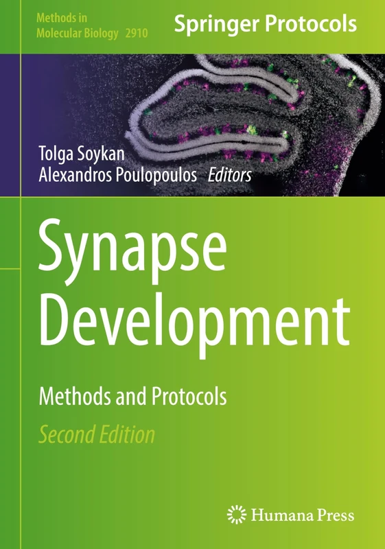 Synapse Development: Methods and Protocols: 2910 (Methods in Molecular Biology, 2910)
