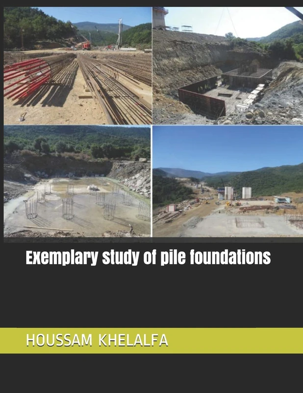 Exemplary study of pile foundations