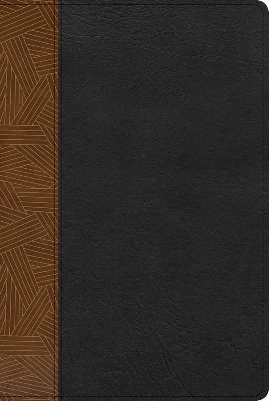 RVR 1960 Biblia de Estudio Arco Iris, tostado/negro símil pi: Reina-valera 1960 Biblia De Estudio Arco Iris, Tostado/Negro Símil Piel/ ... Study ... Study Bible, Tan/Black Imitation Leather