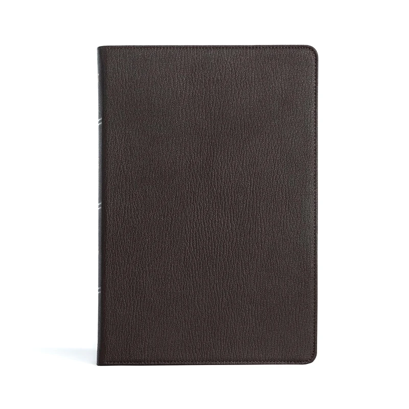 Holman KJV Large Print Ultrathin Reference Bible - Black