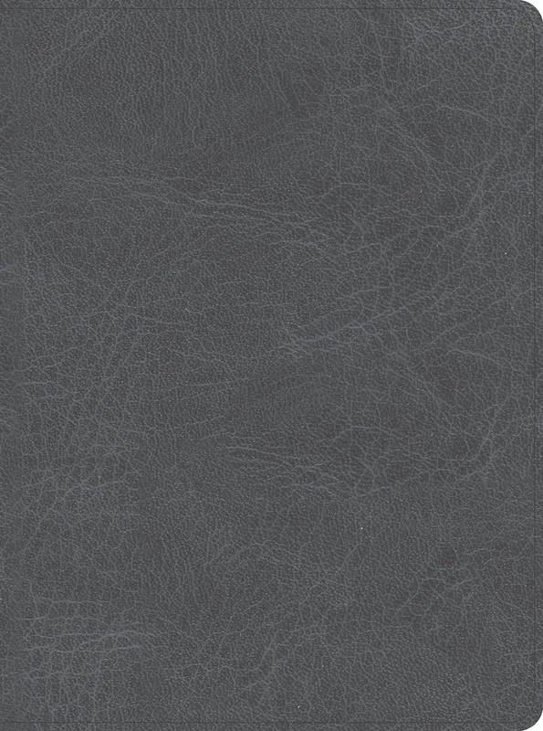 CSB He Reads Truth Bible, Smoke Leathertouch, Indexed